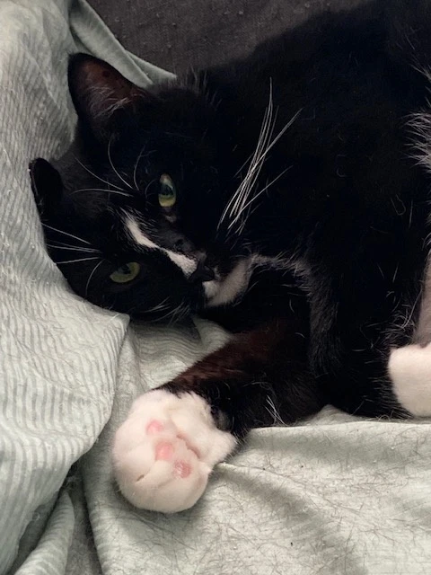 Keena