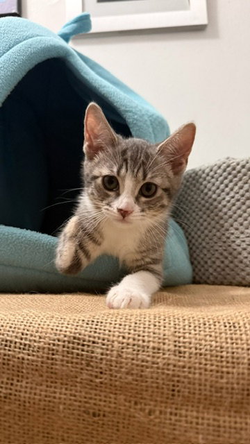 Photo 2 of Olivia