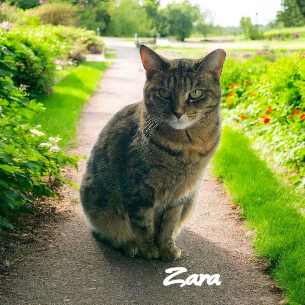 Zara