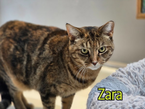 Zara