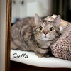 Stella (McCartney) - Photo 4