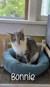 Bonnie - Photo 2