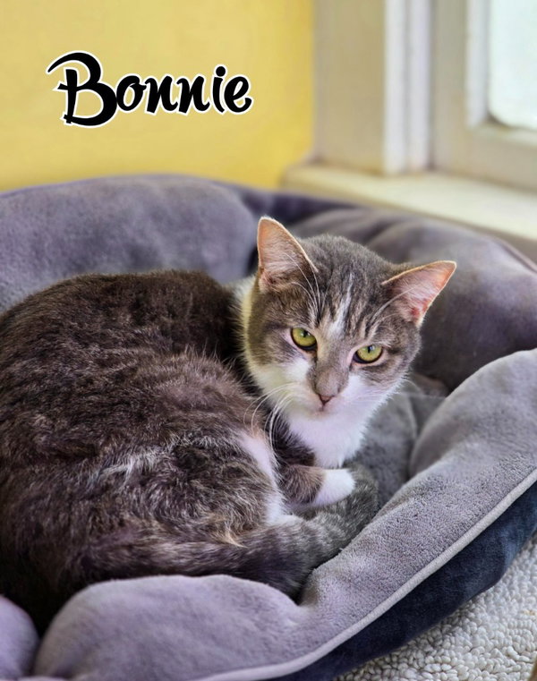 Bonnie