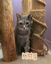 Kitty (Foreman) - Photo 3
