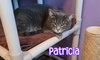 Patricia - Photo 2