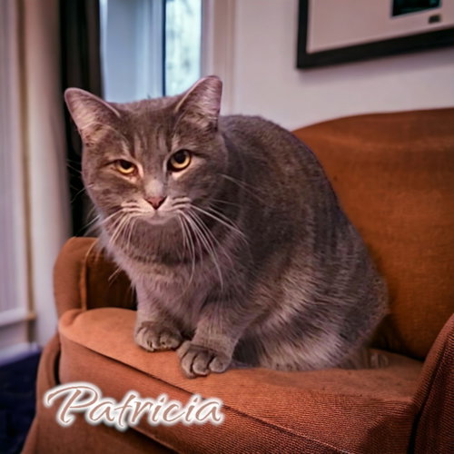 Photo 4 of Patricia