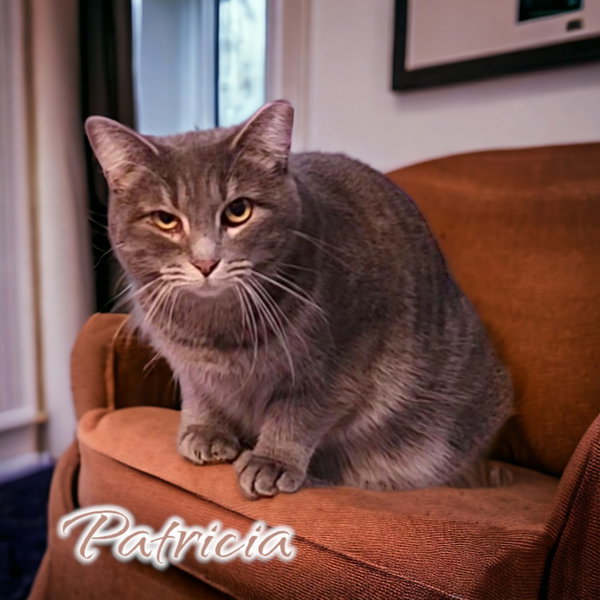 Patricia
