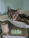 Eddie (Munster) - Photo 2
