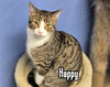 Happy - Photo 4