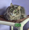 Otis (Bay Bridge #2) - Photo 3