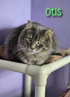 Otis (Bay Bridge #2) - Photo 4