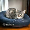 adoptable Cat in Port Clinton, OH named Beatrice