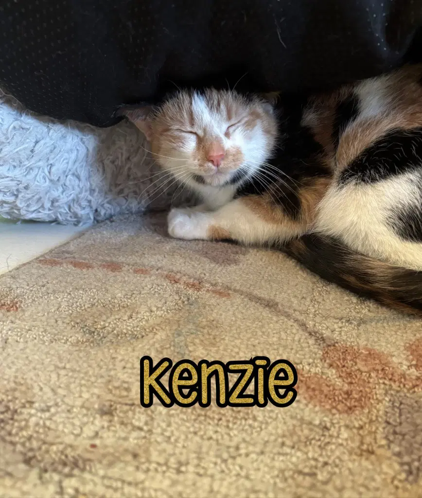 Kenzie image 4