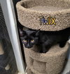 Twix - Photo 2