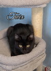 Twix - Photo 4