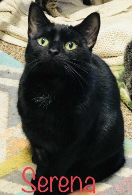 Sid