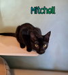 Mitchell - Photo 1