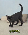 Quentin - Photo 1