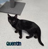 Quentin - Photo 2