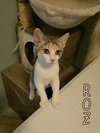 Roz - Photo 1