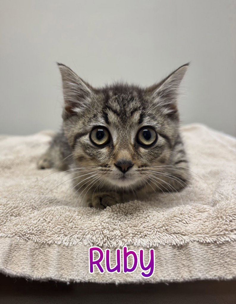 Ruby