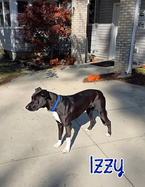 Izzy (Candy)