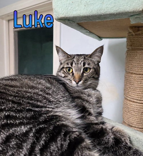 Photo 3 of Luke