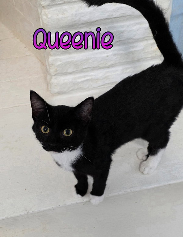 Queenie