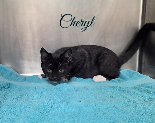 Photo 2 of Cheryl