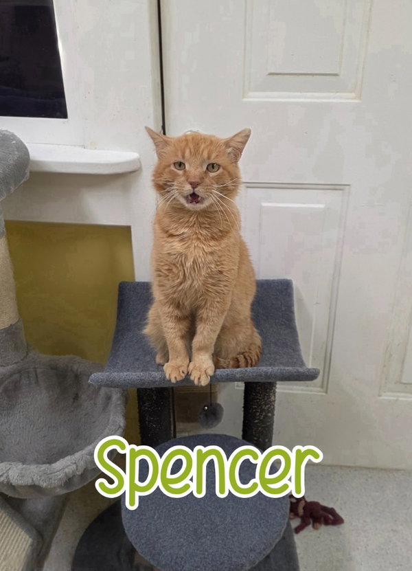 Spencer