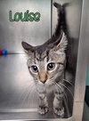 Louise - Photo 3
