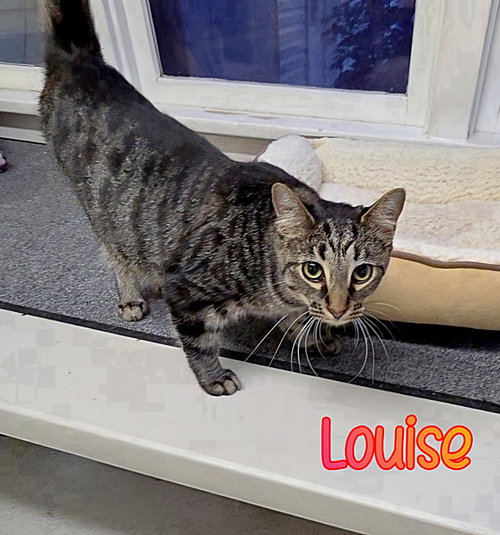 Photo 2 of Louise