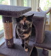 Nadia - Photo 1