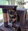 Nadia - Photo 2