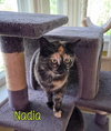Nadia - Photo 3