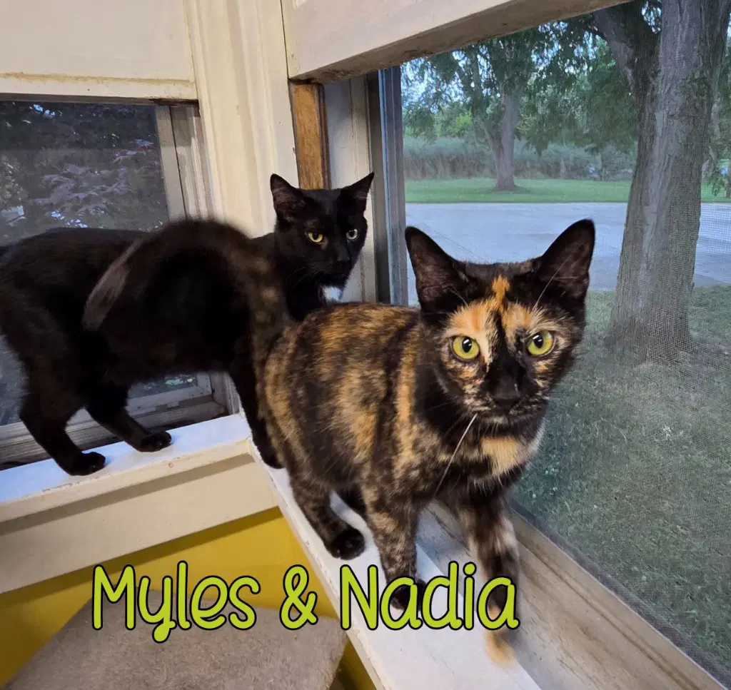 Nadia image 2