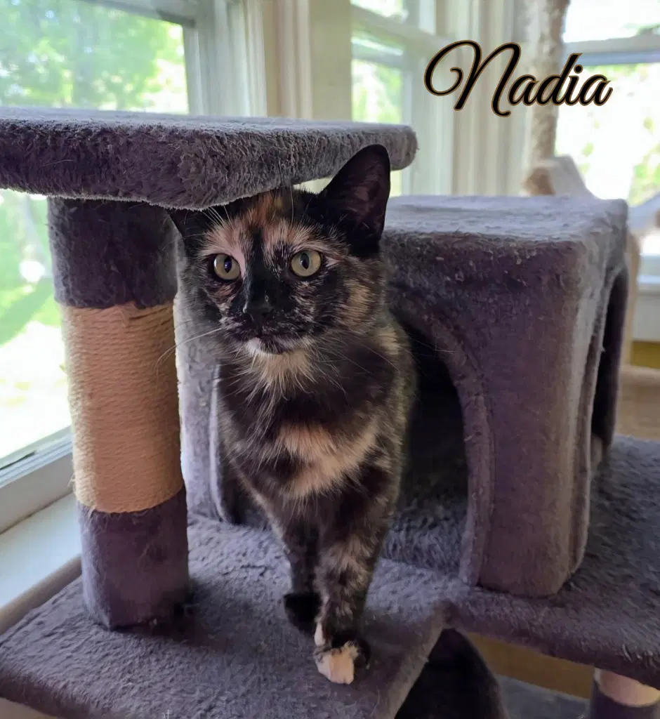 Nadia image 4