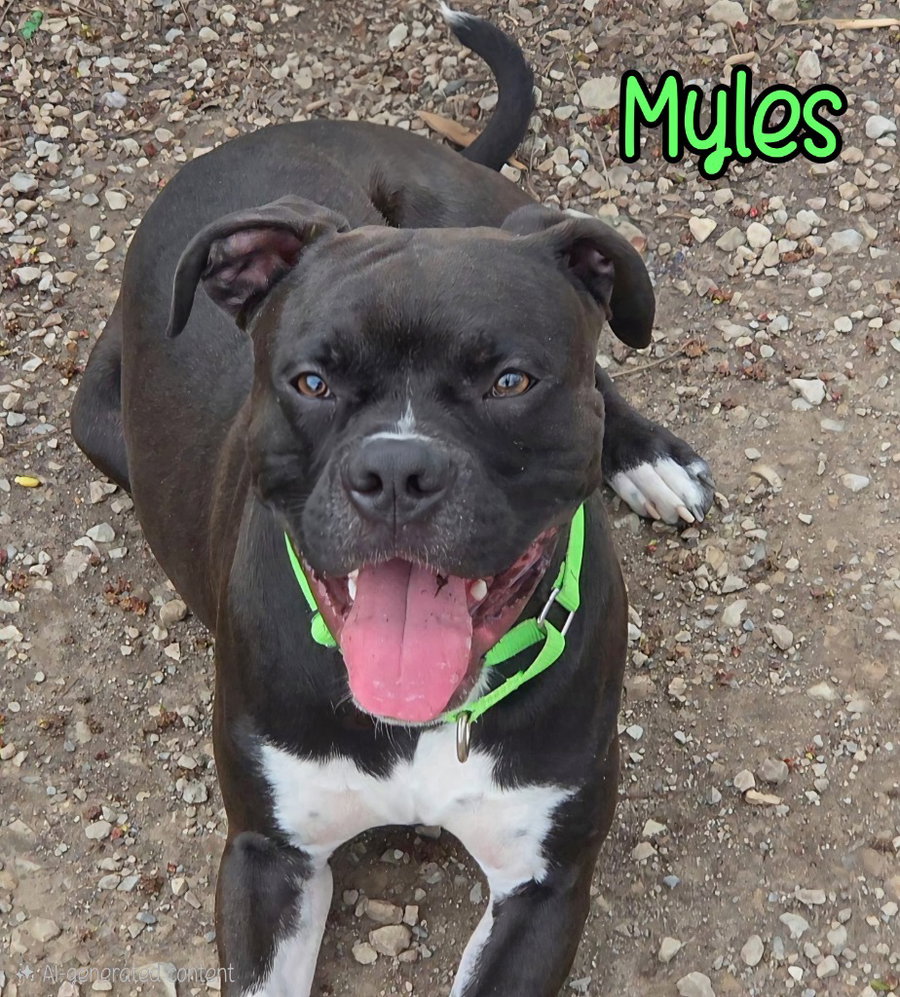 Myles