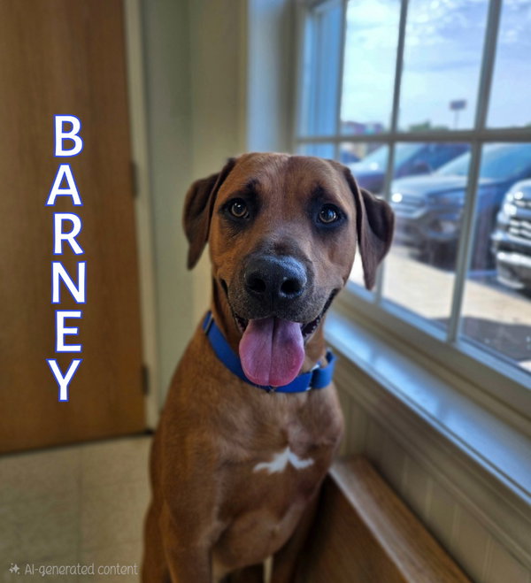 Barney