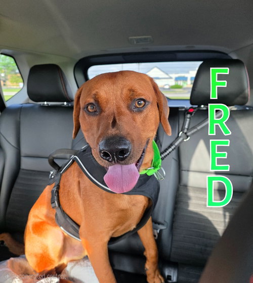 Fred