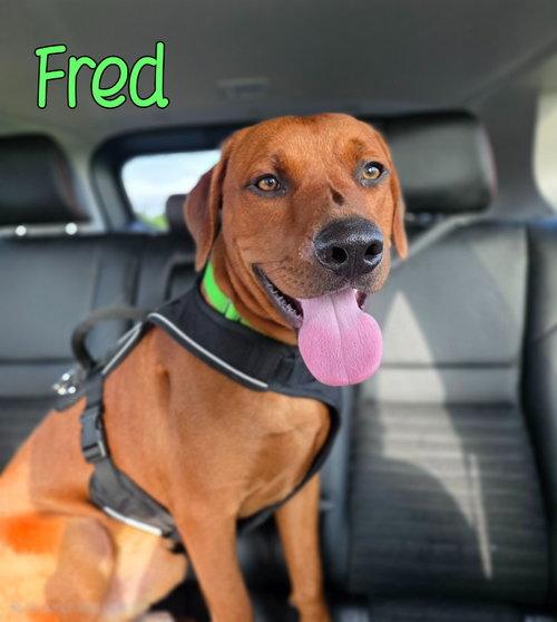 Photo 3 of Fred