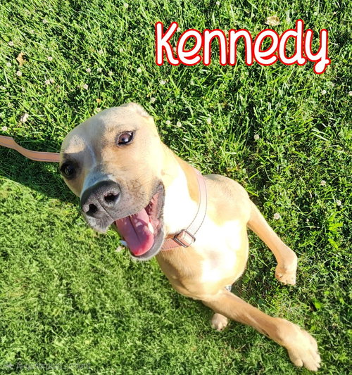 Kennedy photo 2