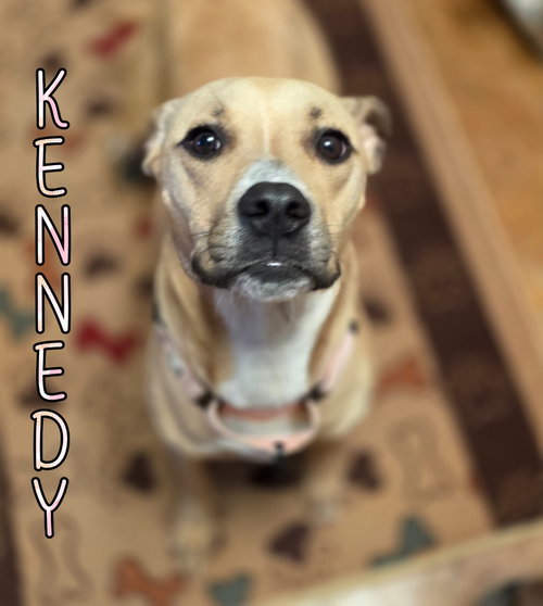 Kennedy photo 3