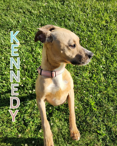 Kennedy photo 4
