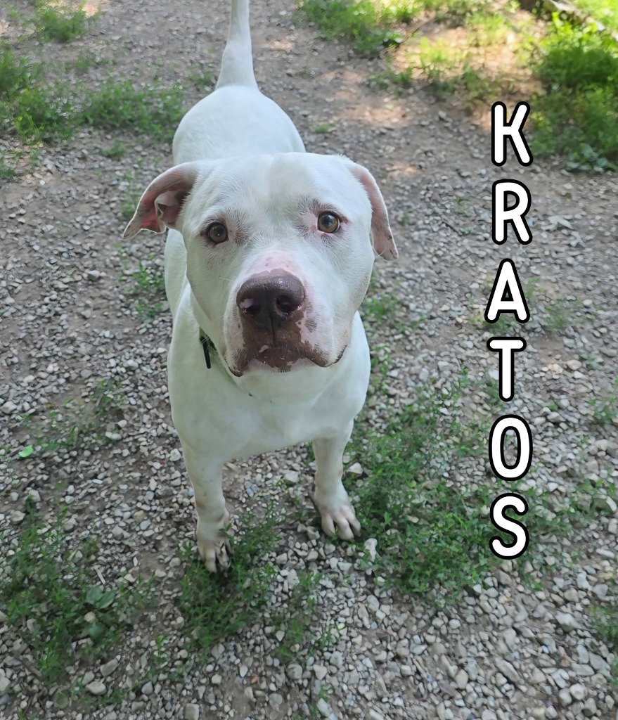 Kratos Image