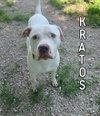 Kratos - Photo 1