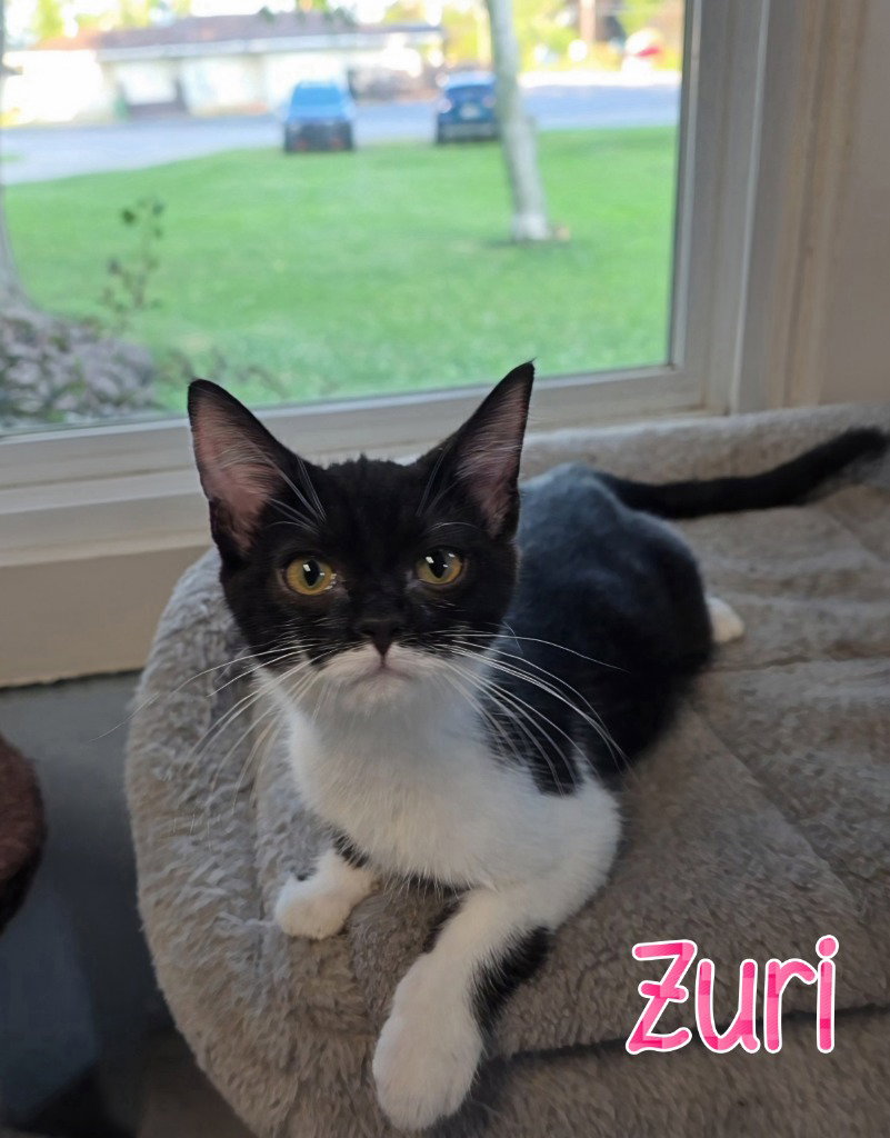 Zuri
