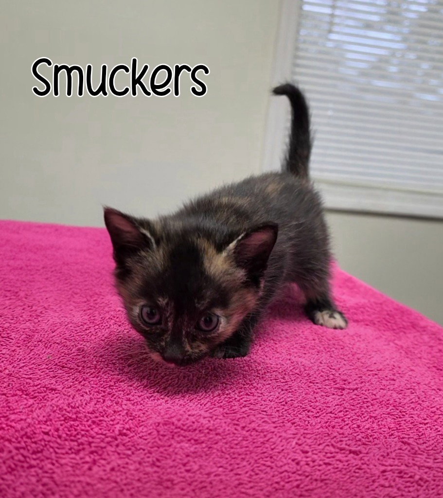Smuckers, photo 4