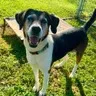 Ethel