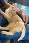 Mandy URGENT - Photo 3